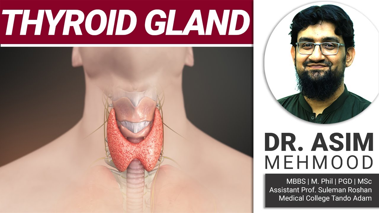 Endocrinology | Biology of Thyroid Gland |Parathyroid Gland | Hindi / Urdu