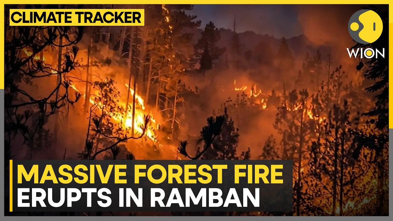 India Wildfires: Heatwave Conditions Spark Wildfires in Rajouri Forests | WION Climate Tracker