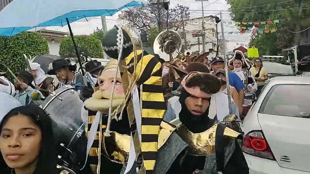 Carnaval del peñón de los baños 2025 barrio de los reyes 188 lunes