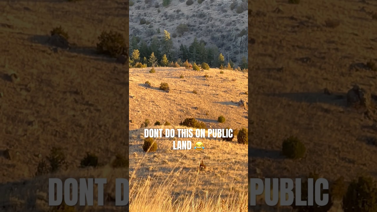 What NOT to do On Public Land&hellip;. #publicland #riflehunting #hunting #deerhunting