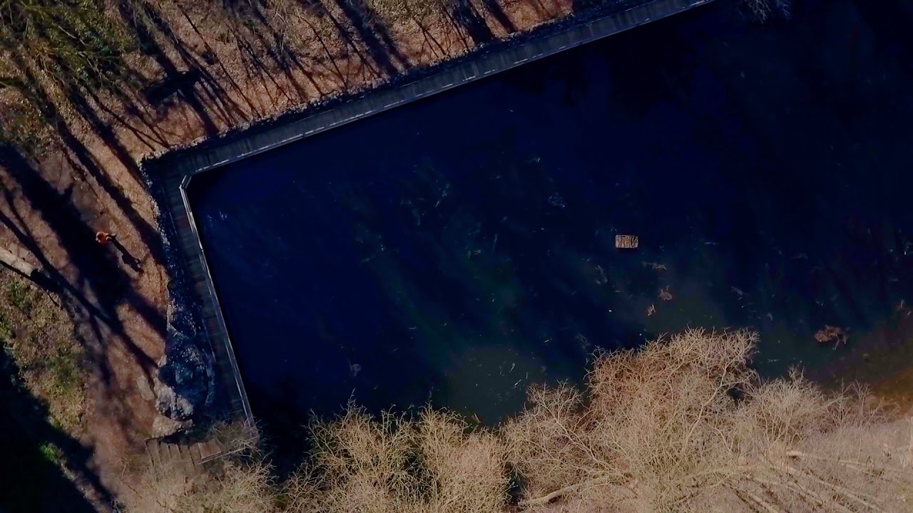 Unser schönes Brandenburg #2 - Kleiner-Spreewald-Park in Schöneiche bei Berlin - DJI MAVIC PRO