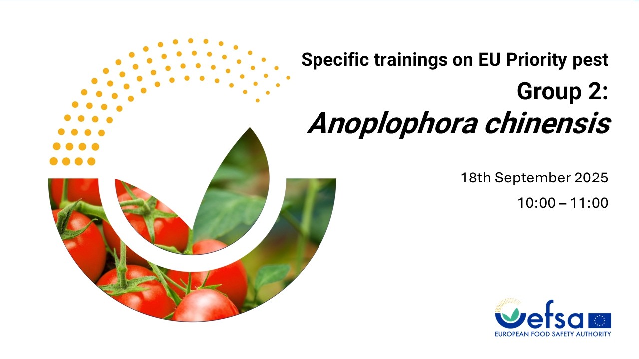 Statistically sound survey of Anoplophora chinensis