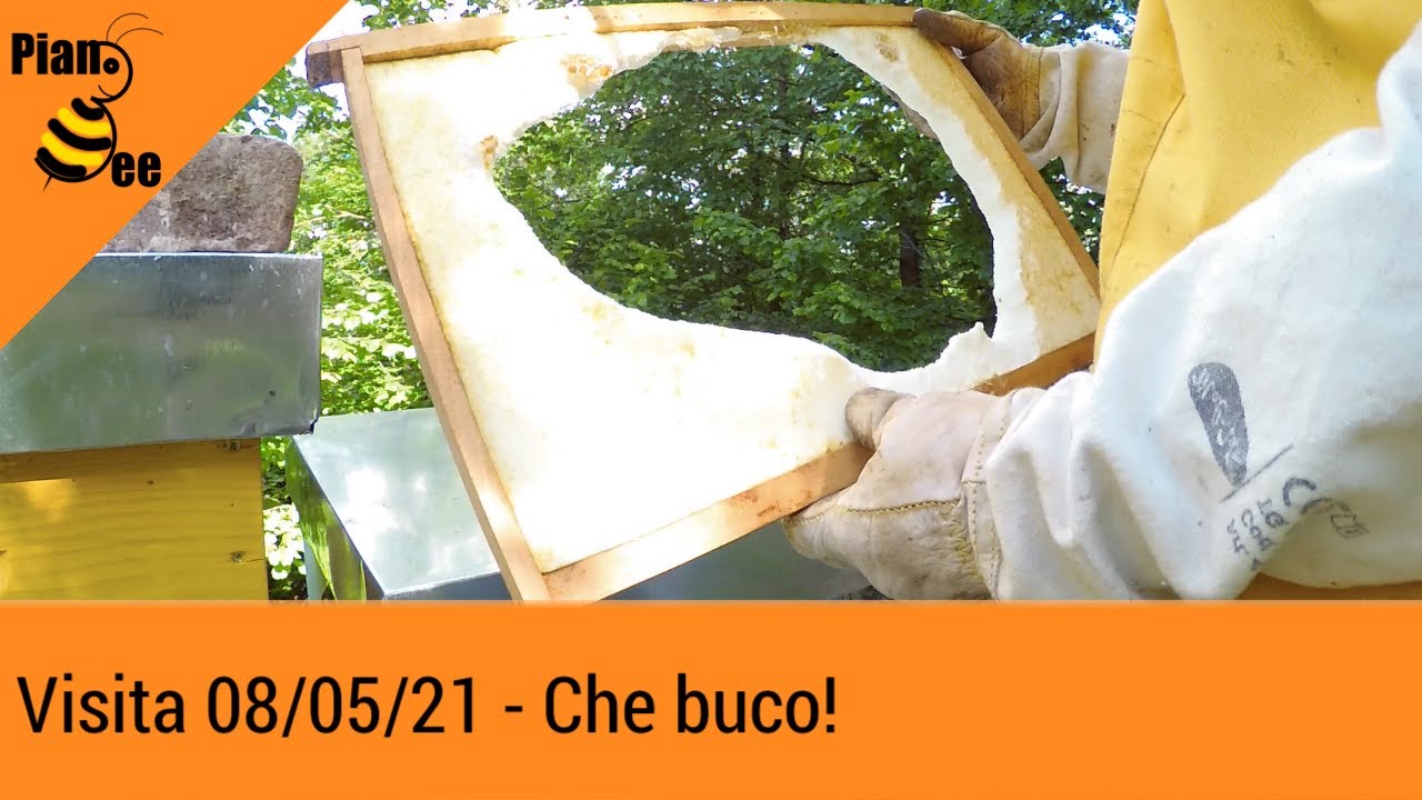 Visita 08/05/21 - Che buco!