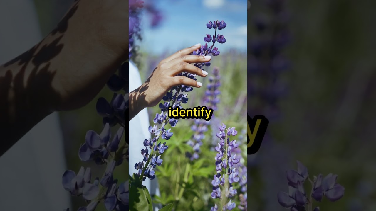 🎙️Pause. Pivot. Progress with Coach Sabrina Woods