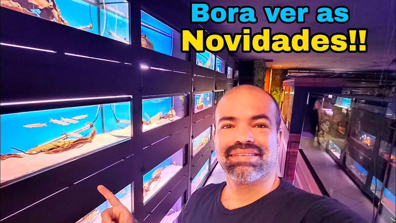Chegou algumas Novidades de Peixes em nossa Loja. Bora ver?
