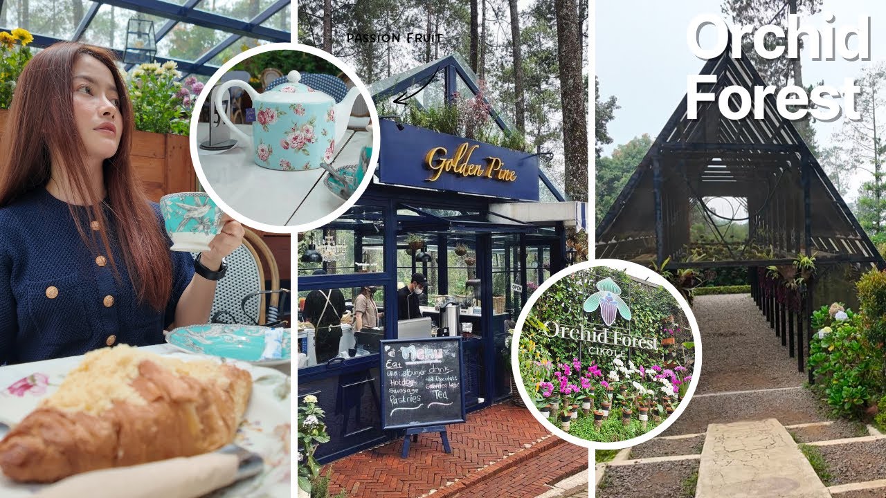 Cafe Aesthetic di Lembang Bandung | Golden Pine Orchid Forest Cikole