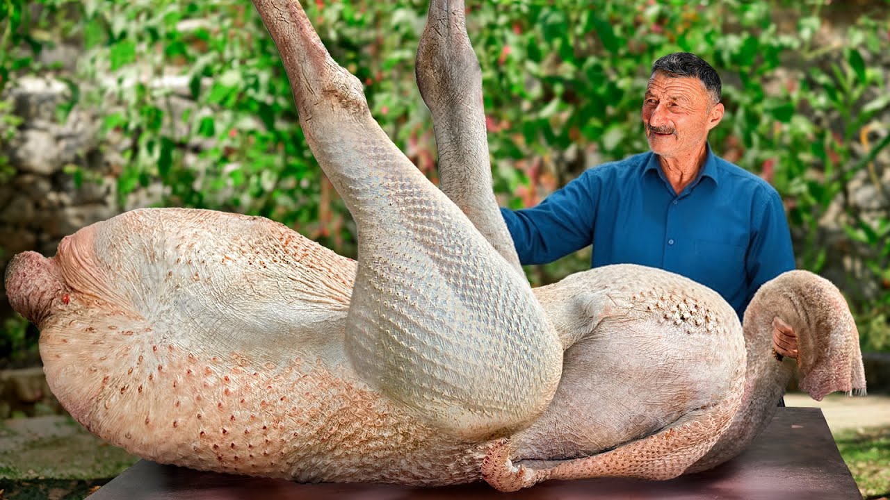 Giant Stuffed Ostrich Tandoor Feast Village Style