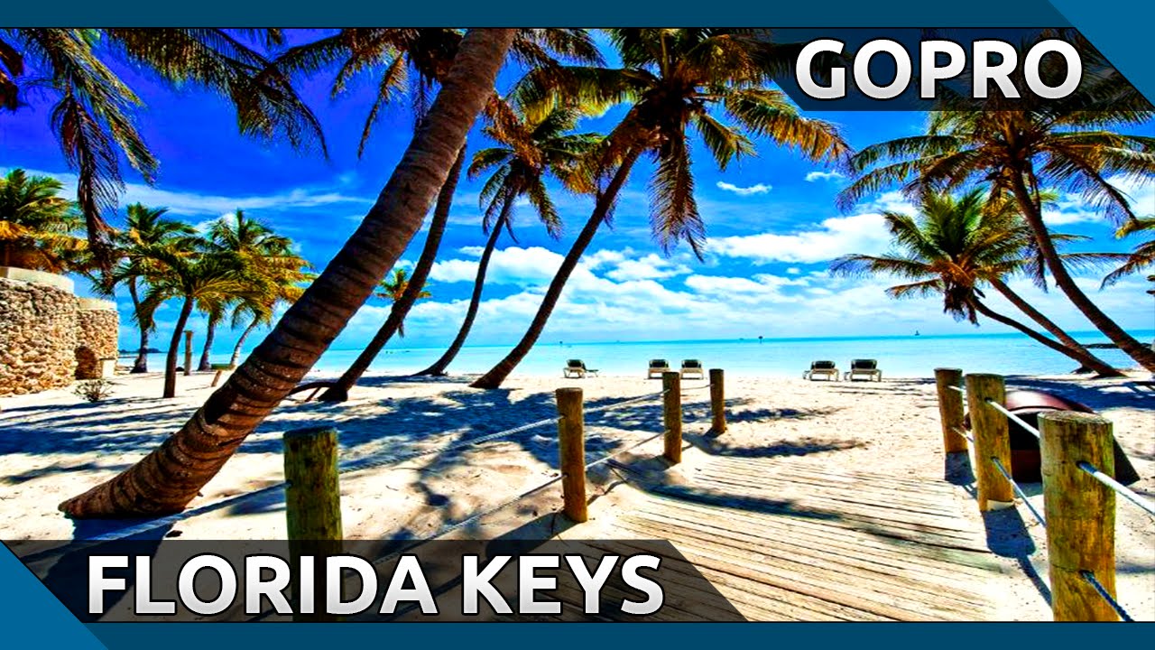 Diving at the Florida Keys