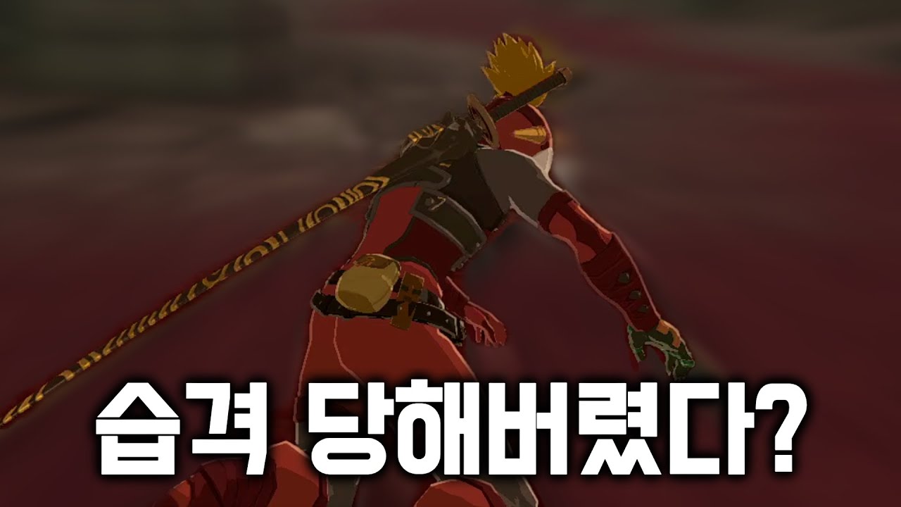 리잘포스에게 습격 당했습니다 [루피 콘텐츠]