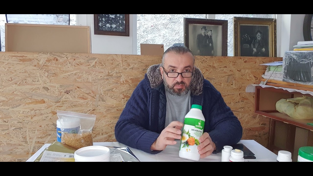Columbofil dl Adrian Lilof Braila Romania produse pregatire porumbei voiajori 12 nov 2021