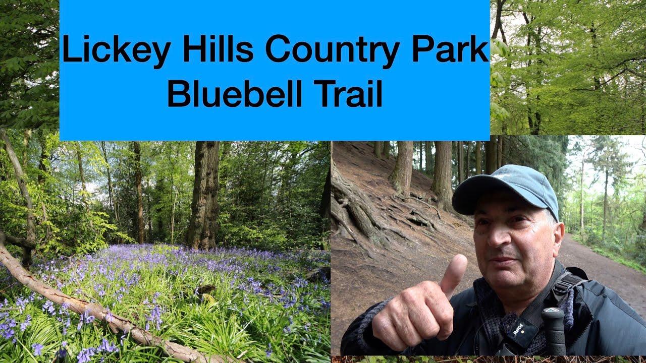 Lickey Hills country park bluebell trail walk