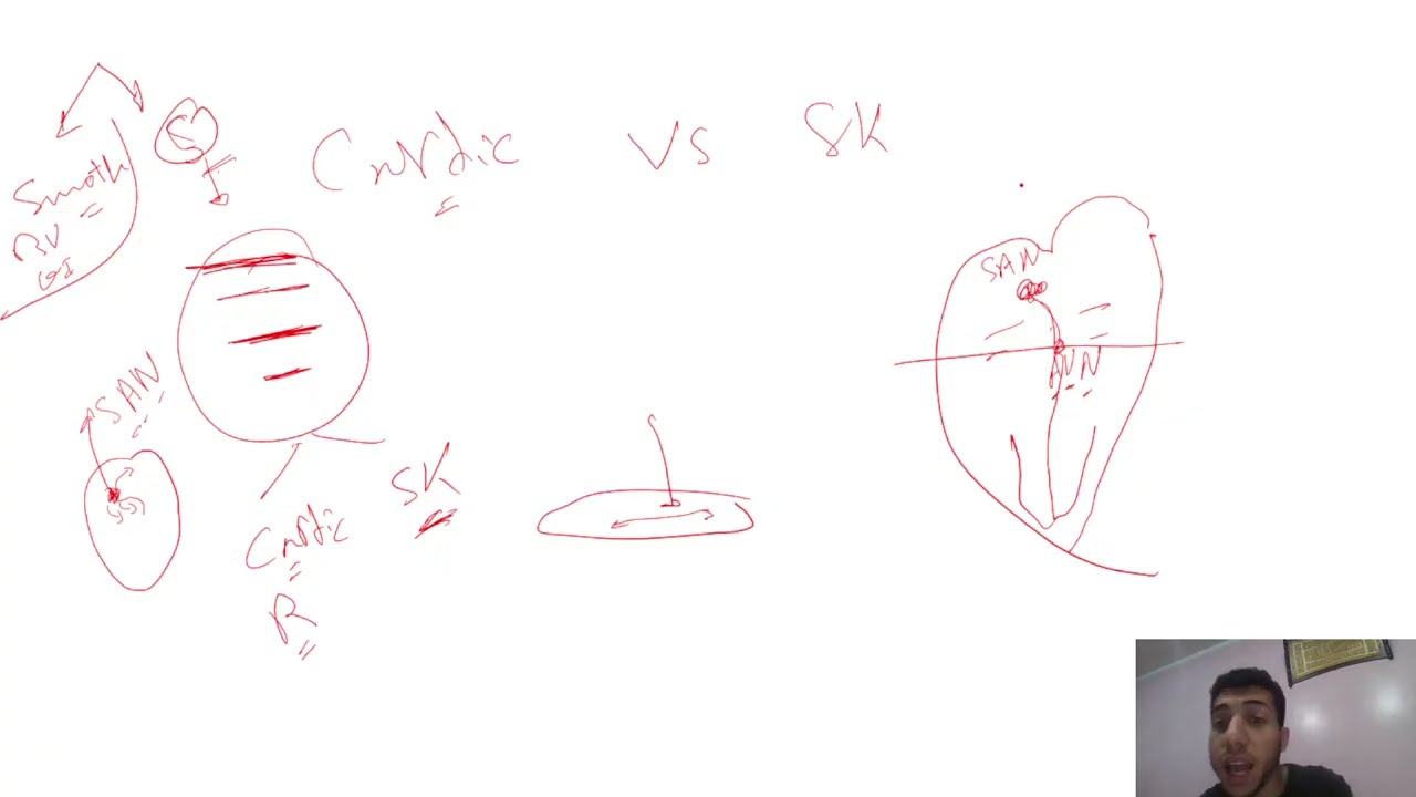 CVS Physiology   Lecture 1   Cardiac muscle action potential by Dr  Youssef Ahmed