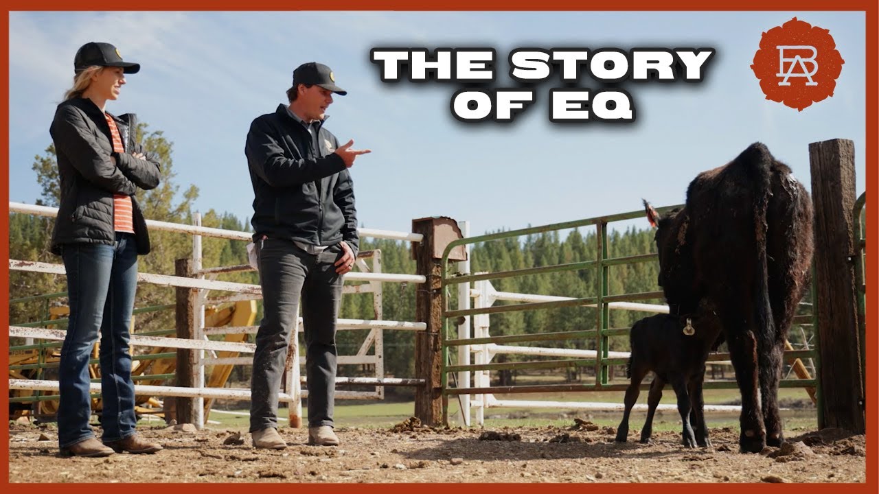The Heartwarming Story of a Calf's Second Chance | Browsey Acres