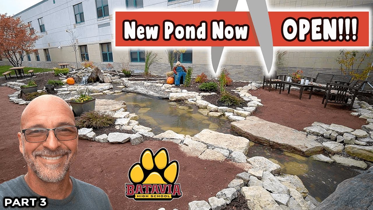 Baby Turtles for NEW POND at Local HIGH SCHOOL - Part 3