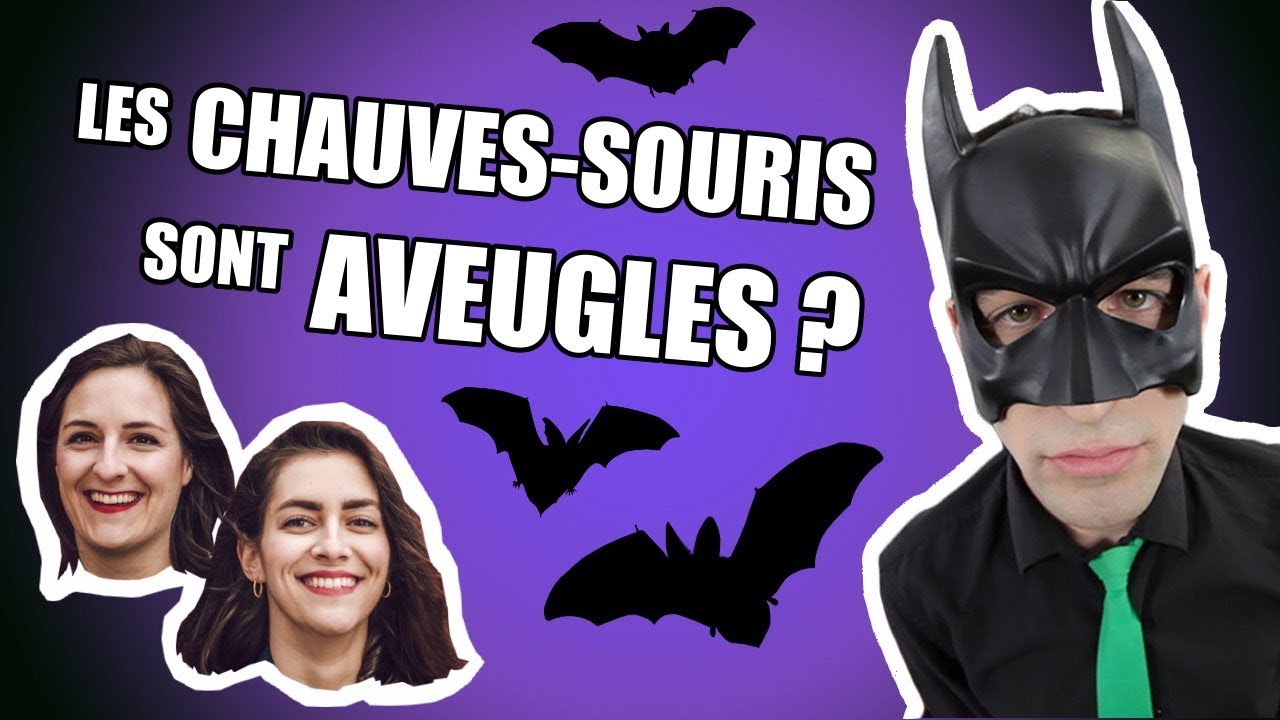IDÉE REÇUE #29 : Les chauves-souris sont aveugles ? (feat. Camille & Justine)