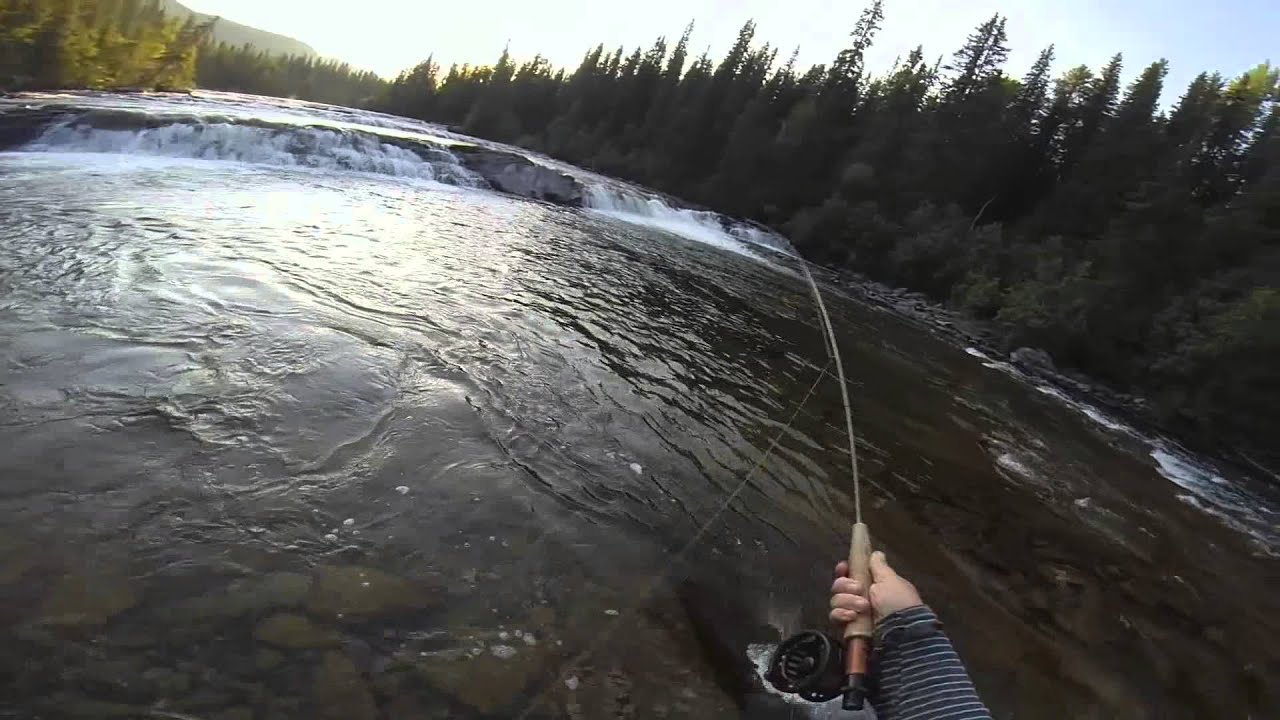 Fly Fishing Sweden 2014