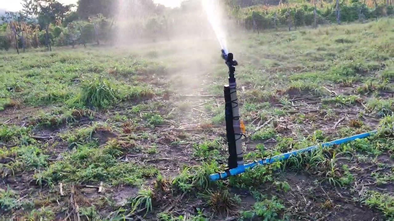 aspersor canhão de irrigação, com bocal 8mm  surpreendeu no raio!