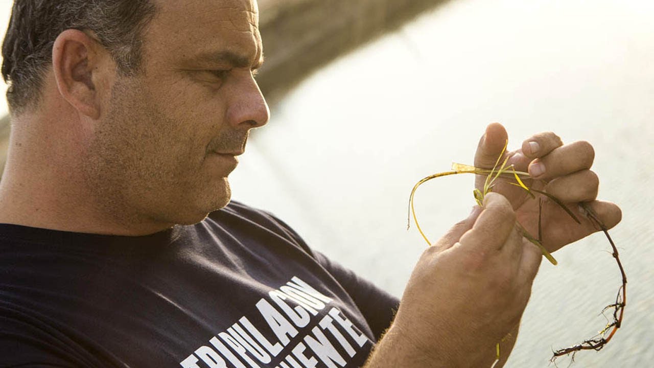 El Chef Ángel León descubre un nuevo superalimento: el 
