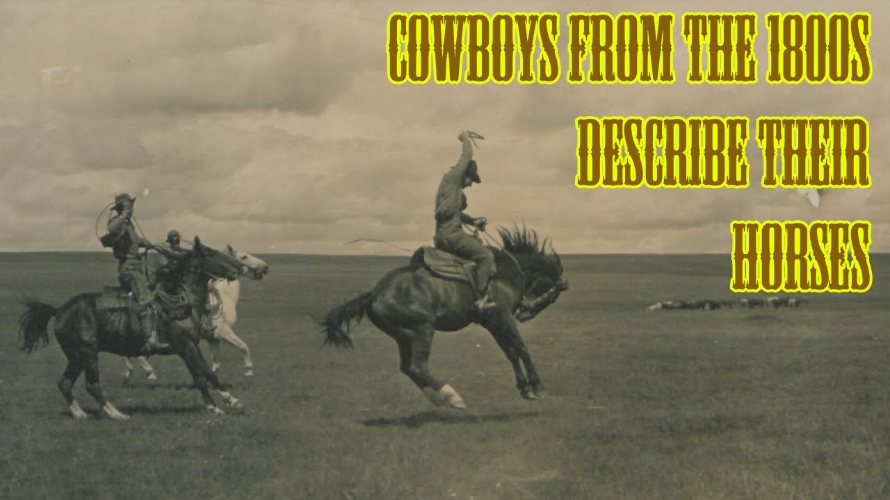 Cowboys from the 1800s Describe their Horses