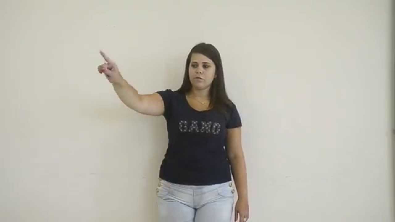 120 Frases Para Aprender Libras (Legendado) UNIPAMPA BAGÉ - RS