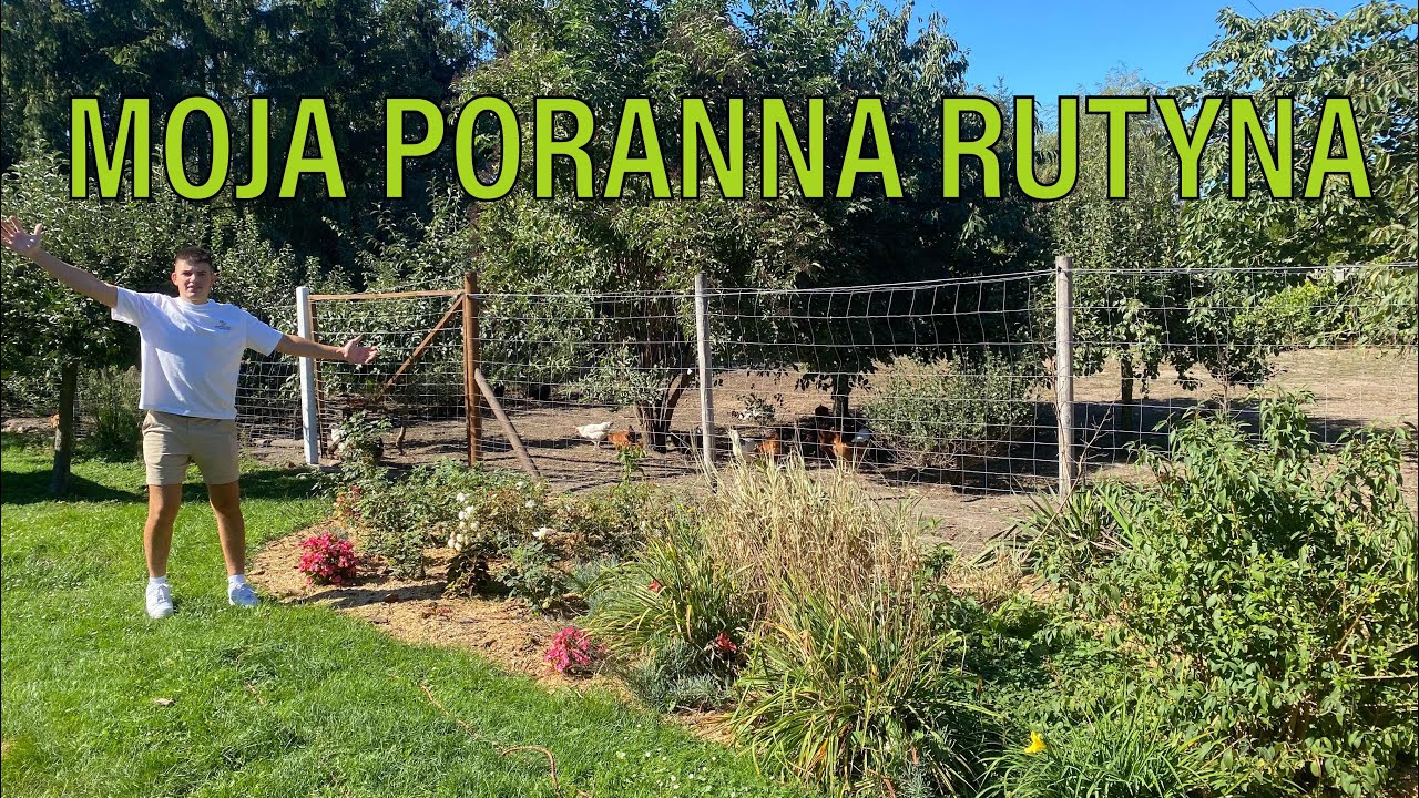 PORANNA RUTYNA NA małym GOSPODARSTWIE !!!