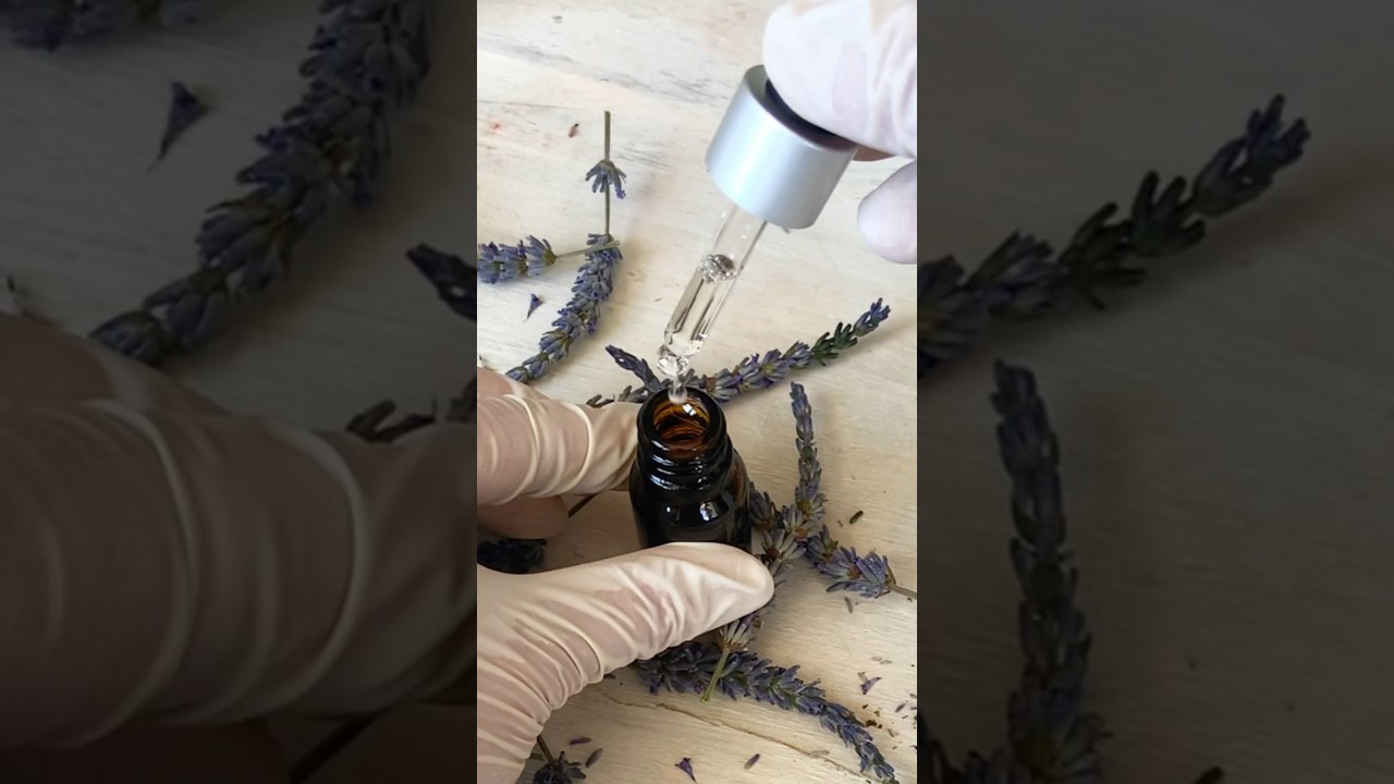 👌 How to make a High-Quality lavender essential oil at home