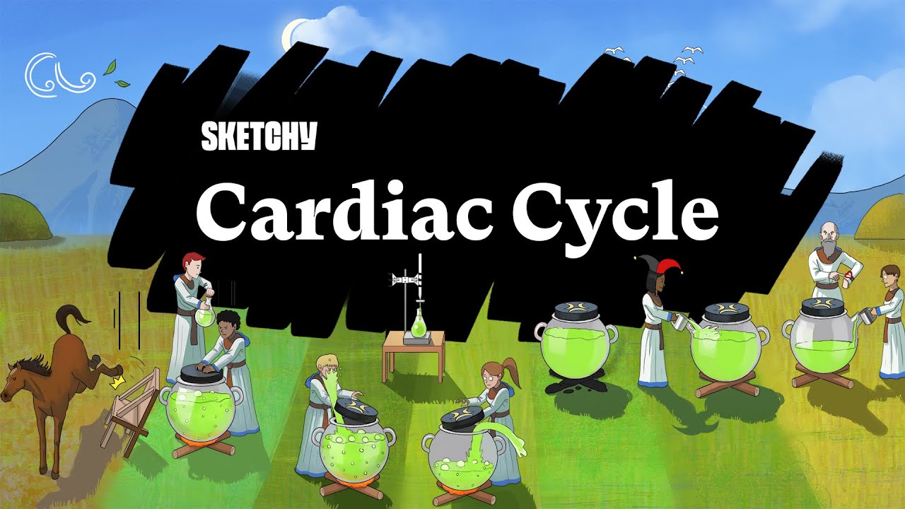 The Cardiac Cycle: Systole & Diastole (Part 1) | Sketchy Medical | USMLE Step 1