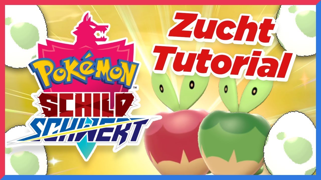 Pok&eacute;mon Zucht-Tutorial! [+maximale Shinychance & Attacken vererben] | Pok&eacute;mon Schild und Schwert