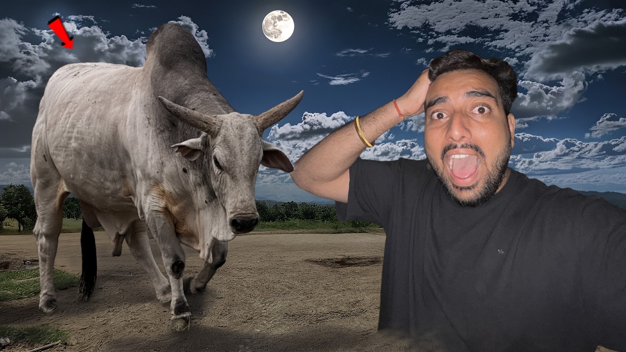 Raat 11 Baje Dangerous Desi Bull Dhoondne Nikle🔦😱Attack Ho Sakta Hai
