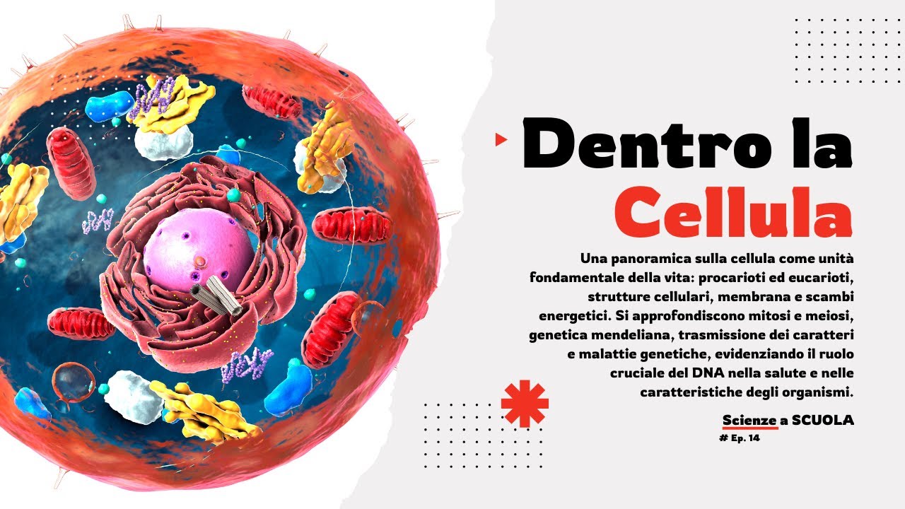 La Cellula: Il Mattone della Vita (#cellula)