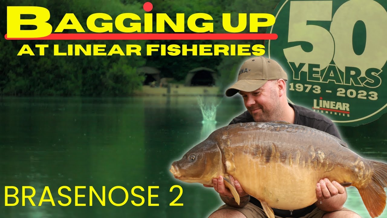 BIG HIT FISHING AT LINEAR FISHERIES