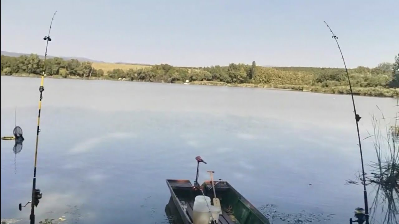 Nagyréde harcsázás catgear kupa 1 napi beszámolo