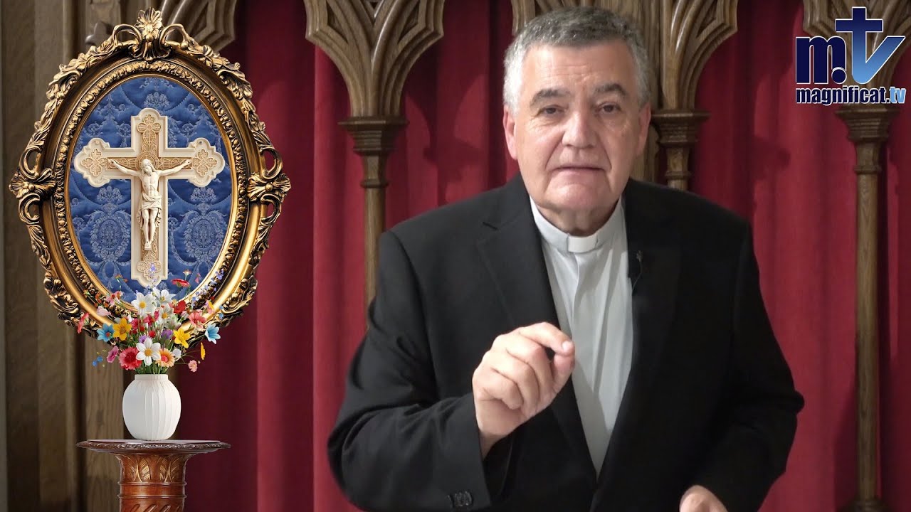 Cisma Tolerado, La Confusión de Obispos Alemanes | León XIV UN PAPA Católico | P Santiago Martín FM