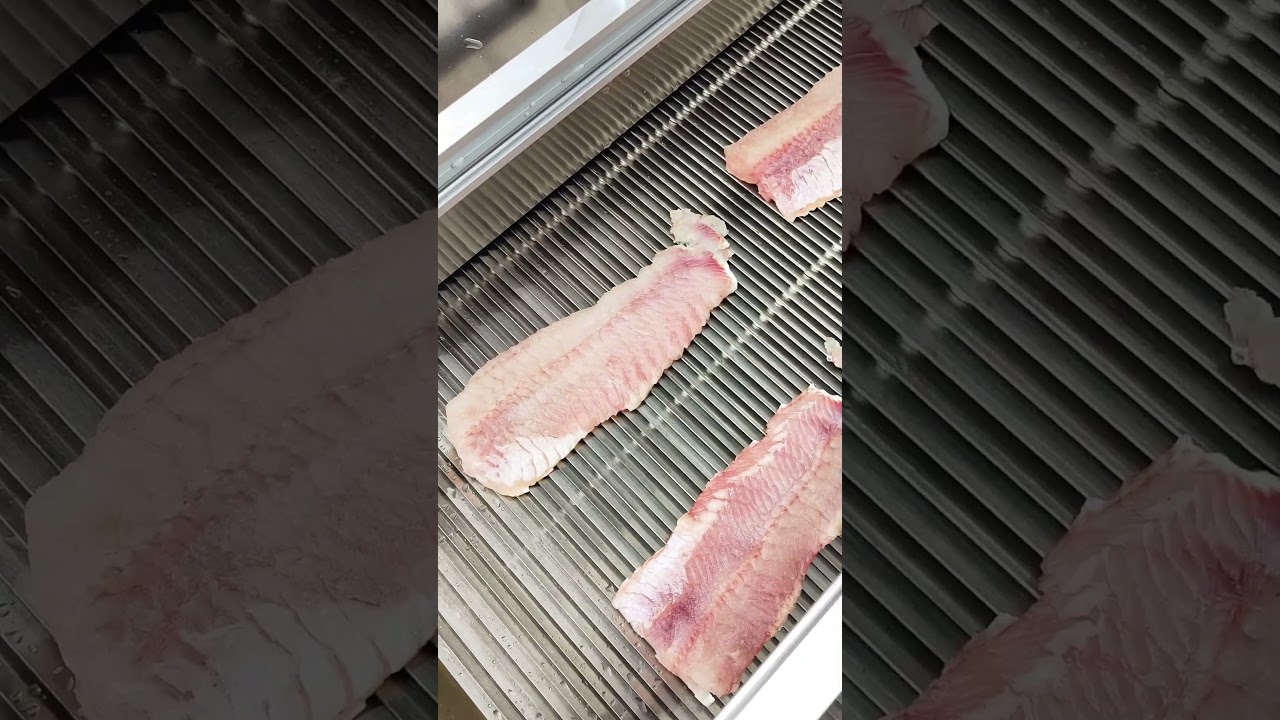 Fish slicer for processing factory