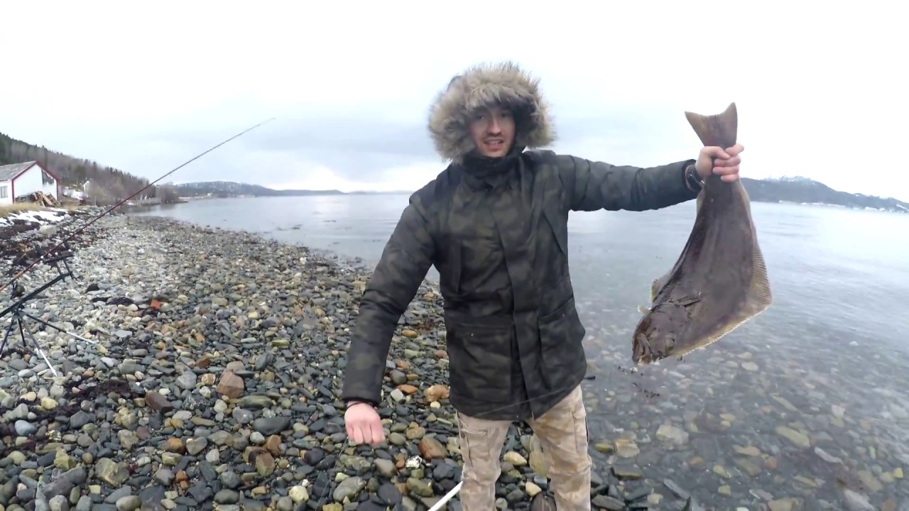 Halibut i dorsze z brzegu #MateFishingTeam
