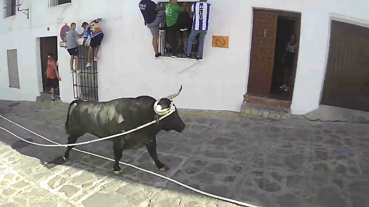 Toroenmaromao Rocío d La Cámara JerezFrntraCadiz enGrazalemaVirgen Carmen salida lunes19h22julio2024