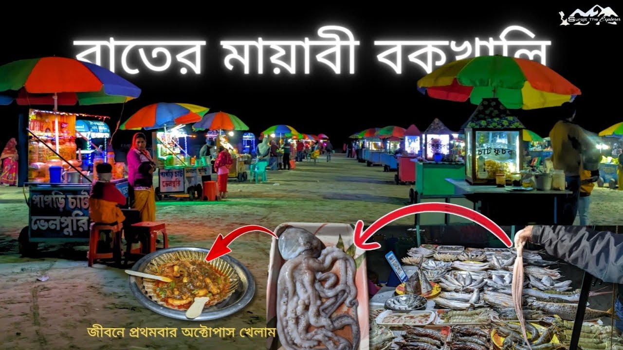 বকখালীতে জীবনে প্রথমবার অক্টোপাস খেলাম | bakkhali beach night life | bakkhali sea food