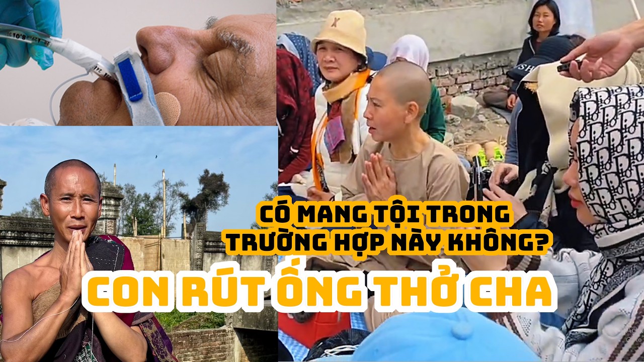 Thầy giải thích quá trí tuệ.