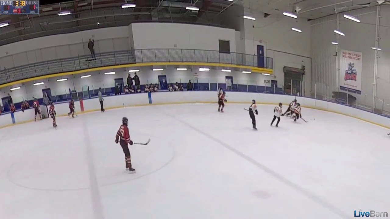 CP v waler 1