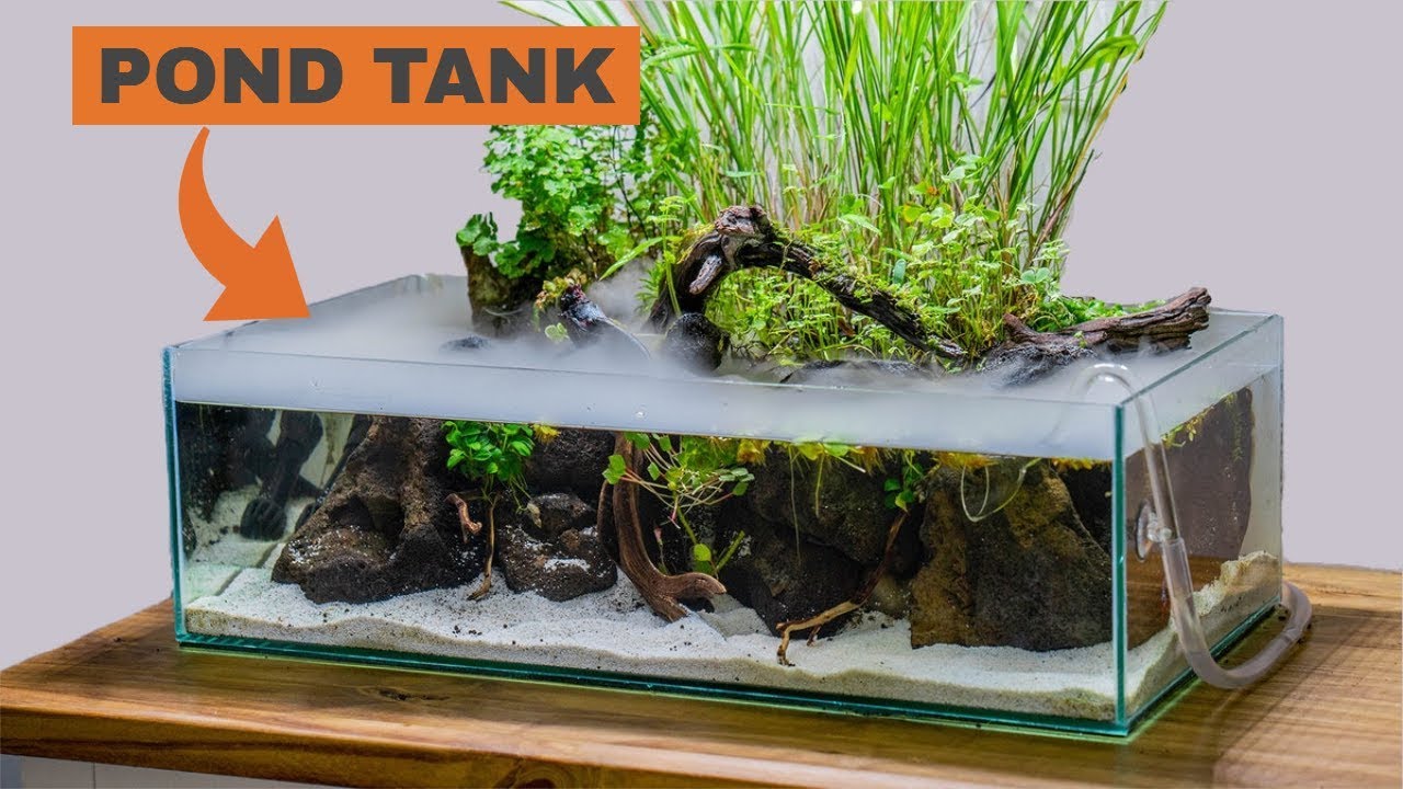 Building an indoor pond aquarium: TIMELAPSE