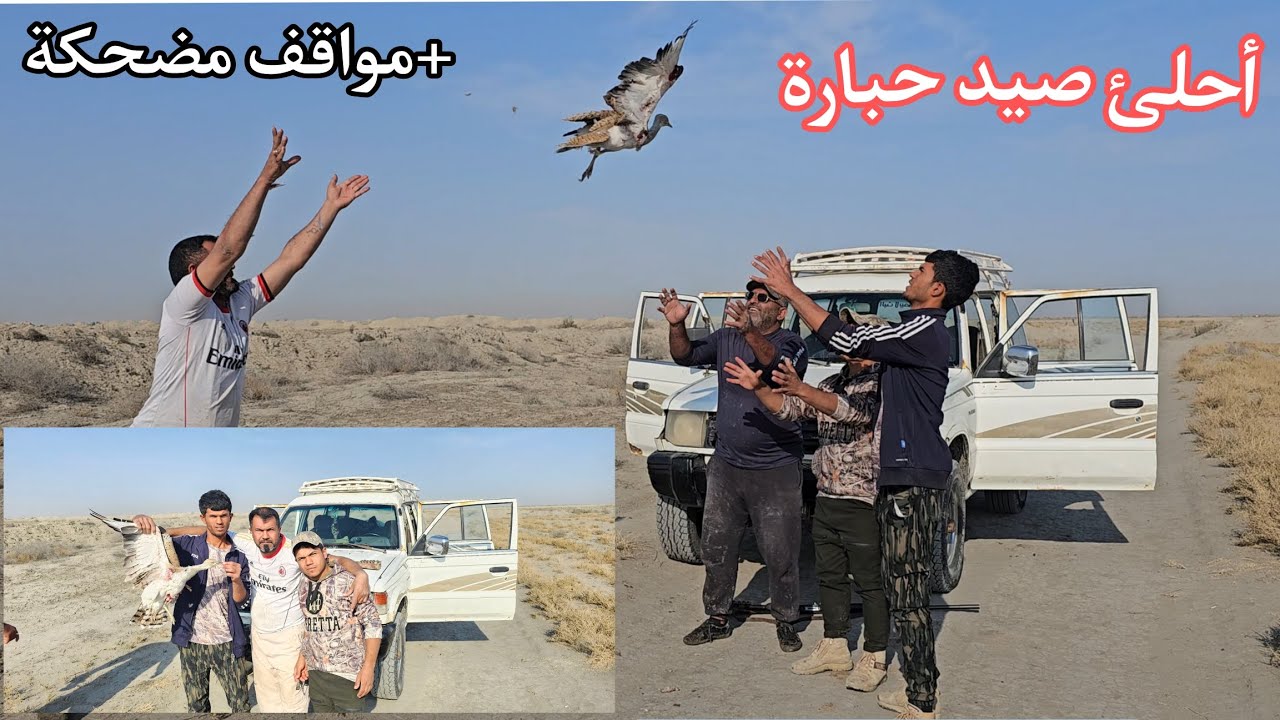 أحلئ صيد حبارة في الجزيرة +مواقف مضحكة انشالله ينال اعجابكم
