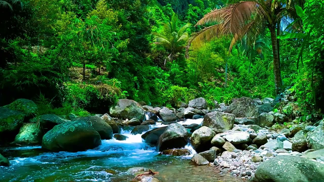 HD Tranquil ASMR Flowing River Water for Falling Asleep Fast and Sleeping Peacefully