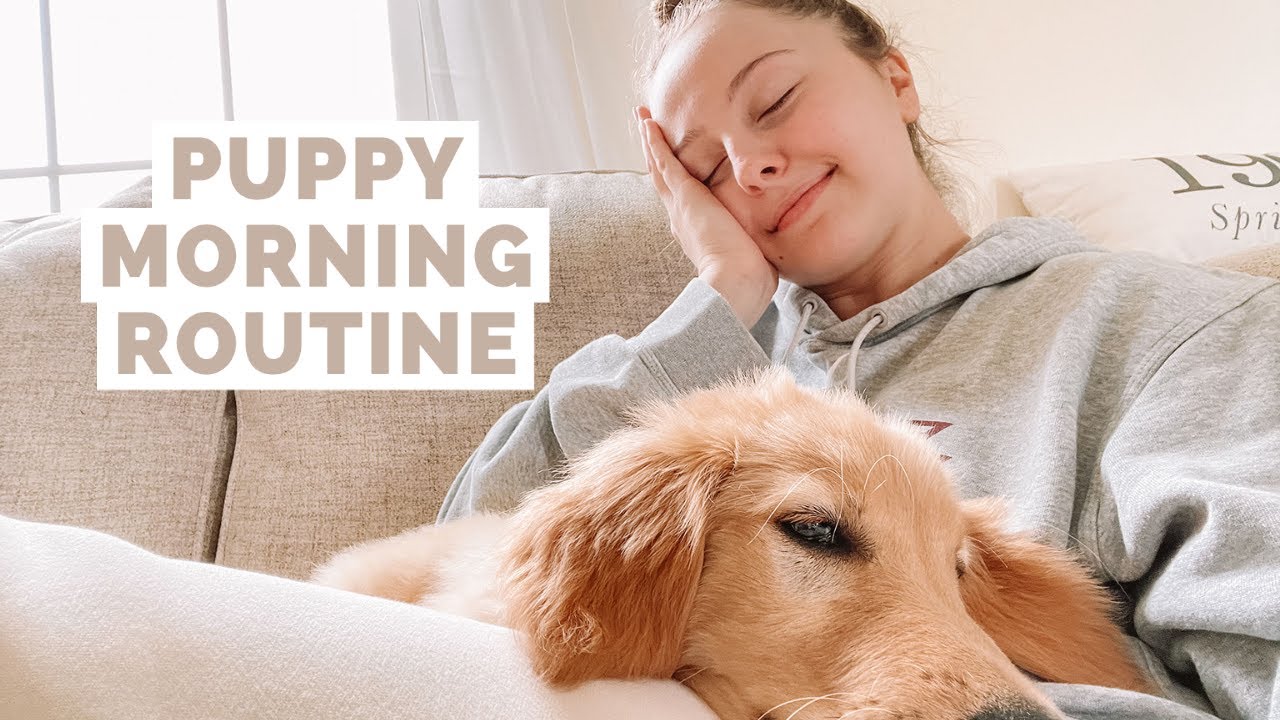 MORNING ROUTINE WITH OUR GOLDEN RETRIEVER PUPPY
