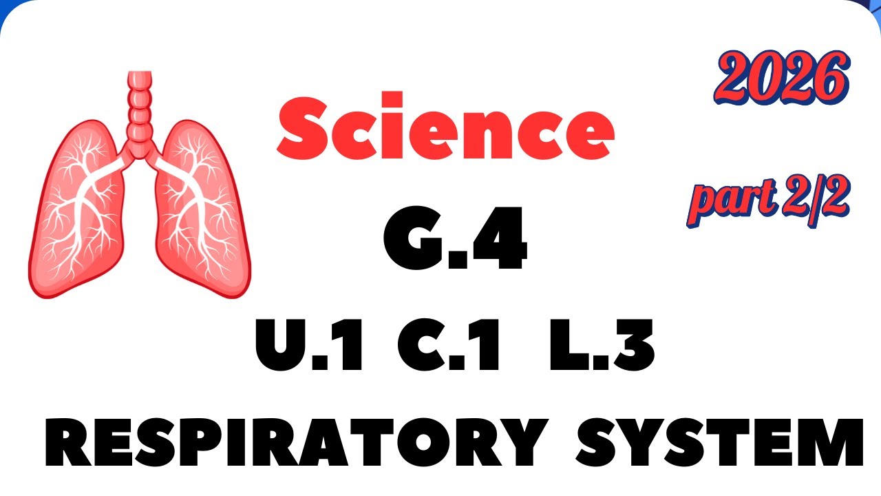 4th Grade Science: Respiratory system (Unit 1, Concept 1, Lesson 3) -1/2 Science 2026” ساينس رابعة