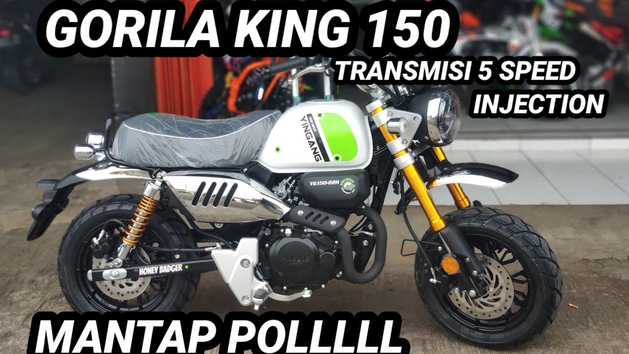 GORILA KING 150 INJECTION TRANSMISI 5 SPEED