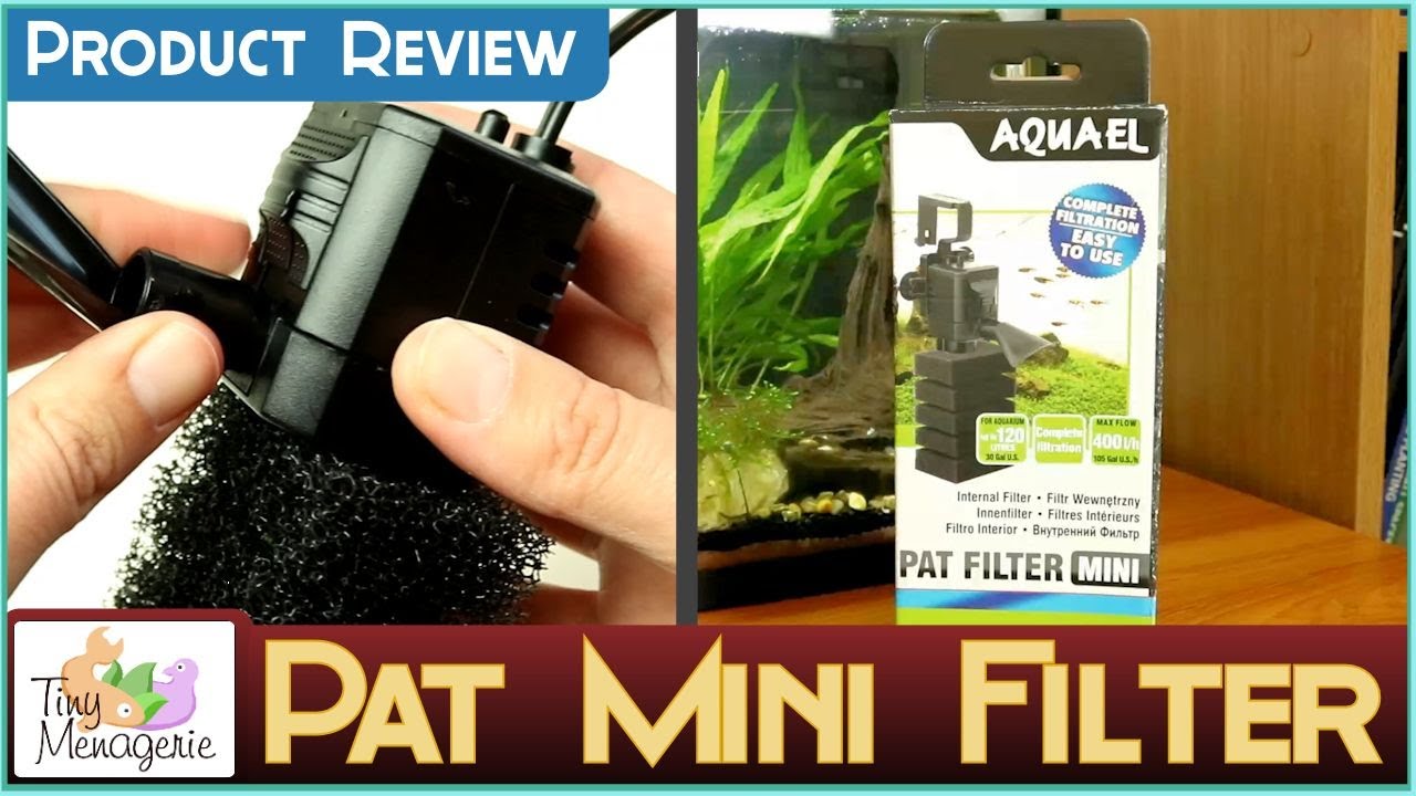 Обзор фильтра AquaEl Pat Mini — лучший для креветочных и наноаквариумов?