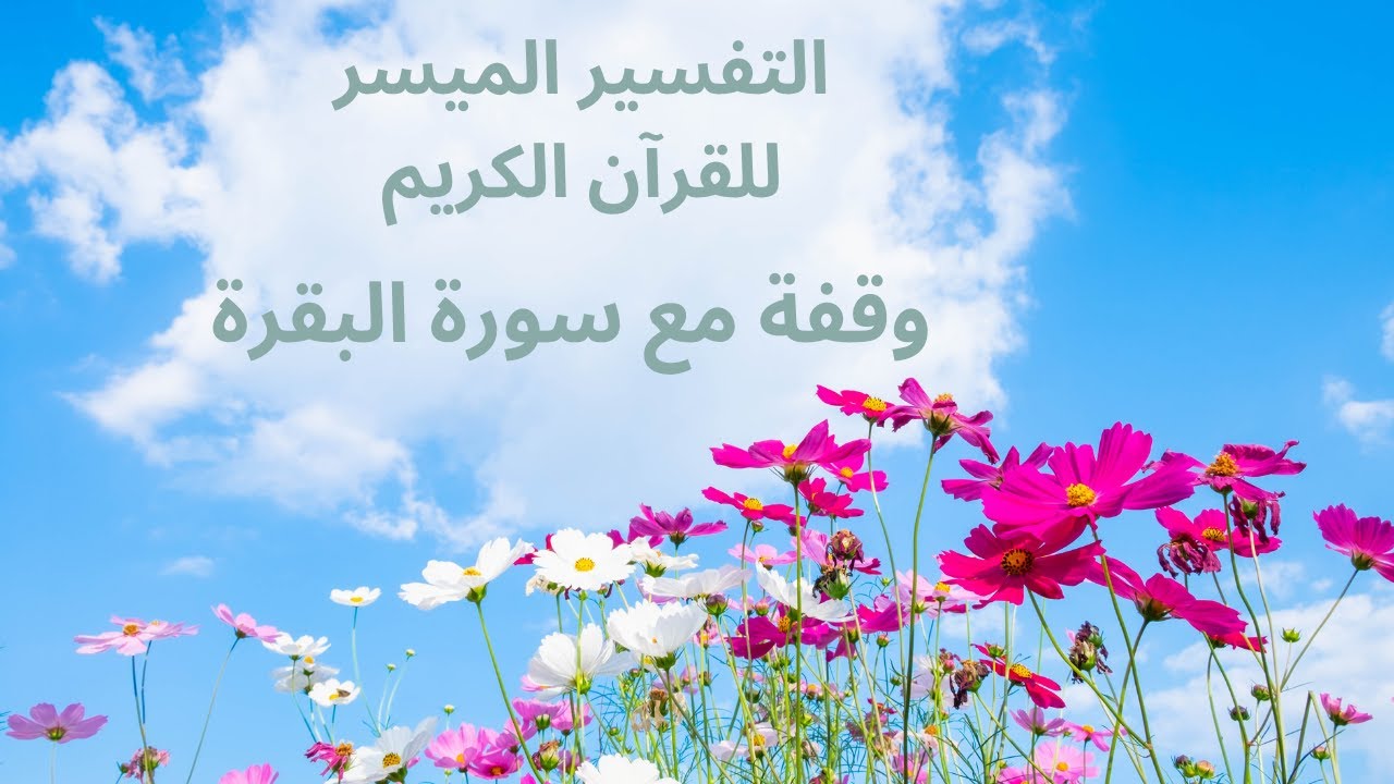 وقفة مع سورة البقرة: تجميع معانيها ودلالاتها