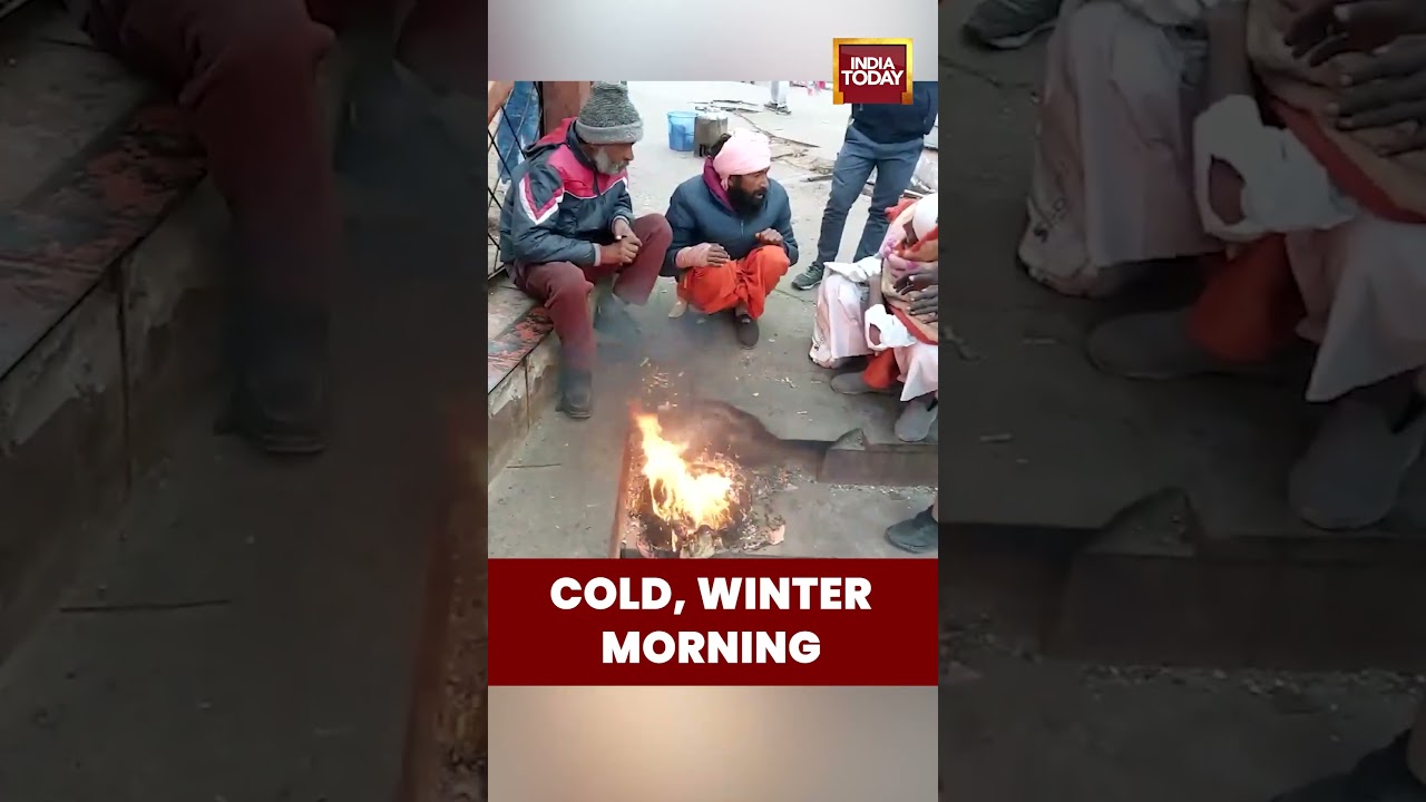 Haridwar, Uttarakhand: Thick Fog Covers City as Cold Wave Persists | #coldwaveindia #haridwarnews