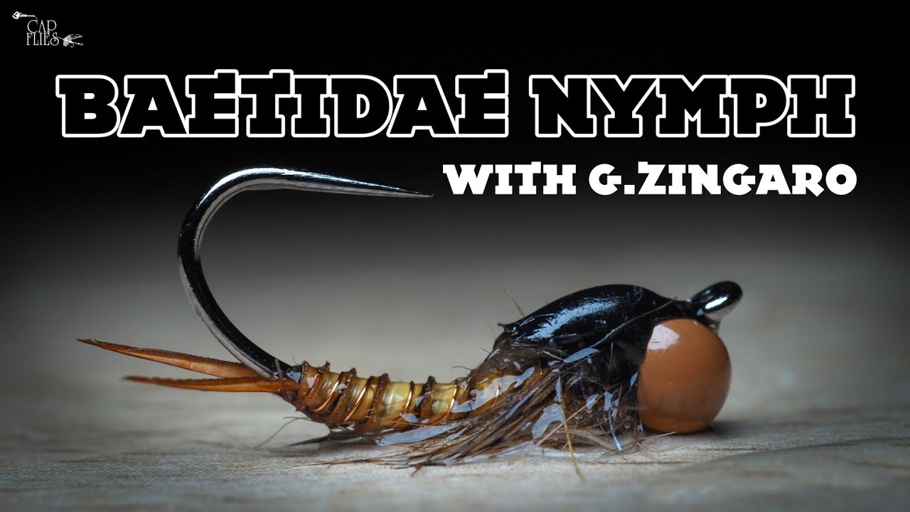 Baetidae Nymph in 4️⃣K - Fly Tying with G.Zingaro