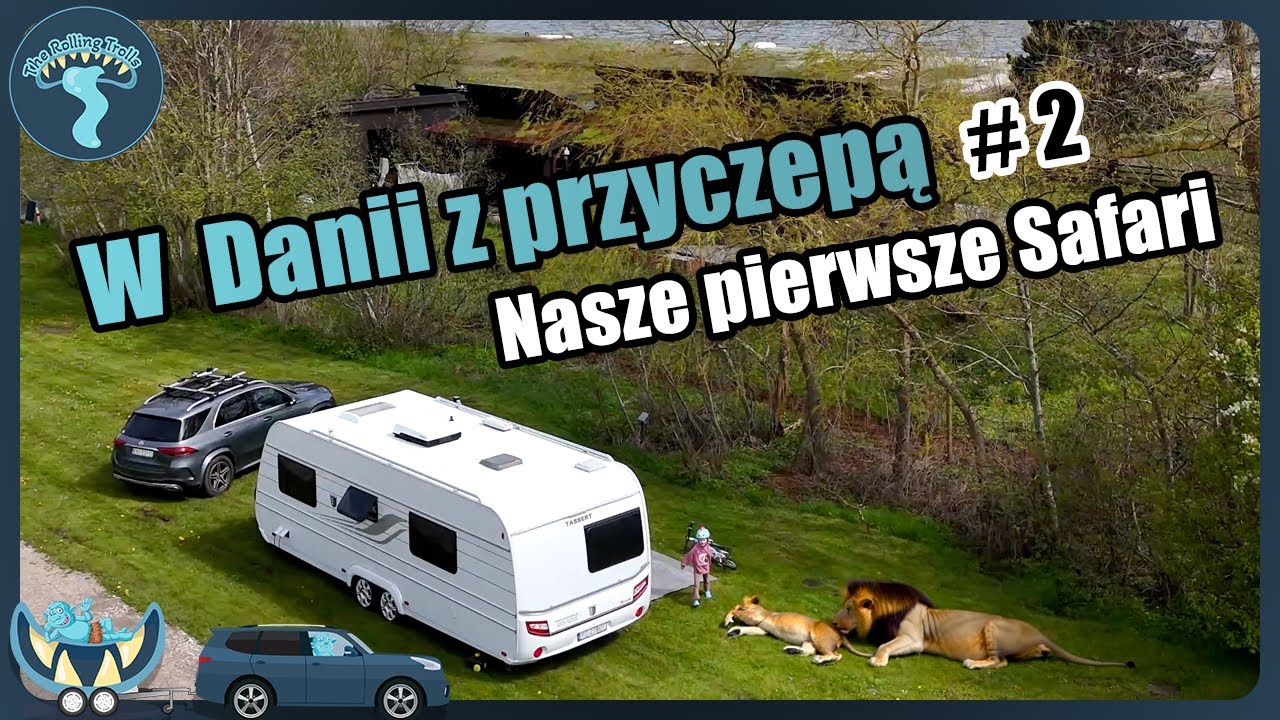 Safari w Givskud Zoo i kemping Ajstrup Strand koło Aarhus.